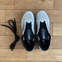 スポーツ ゴルフ