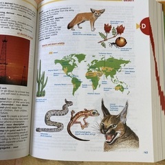 こども用　英語辞典　Scholastic (スカラスティック) の画像
