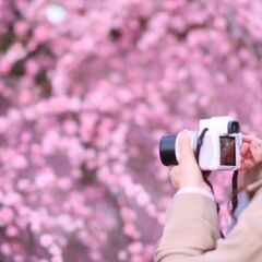 5月25日（土）なばなの里　バラ園　ライトアップ　「東海平日もカメラ部」よりお知らせ - 友達