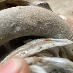 スカイラインR31　純正ターボチャージャー
　エキマニ付の画像