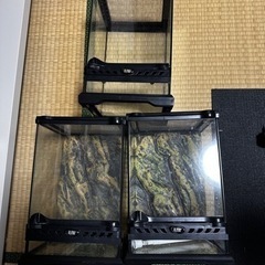 グラステラリウムナノの中古が安い！激安で譲ります・無料で