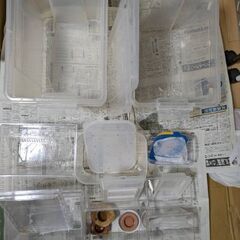 昆虫飼育ケース③