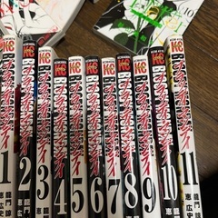 ブラッディマンディ　全巻の画像