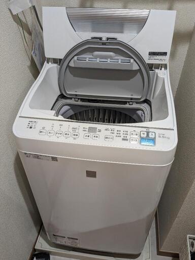 家電 生活家電 洗濯機