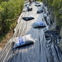 草刈り・伐採・砂利引き　承ります！ - 剪定/造園