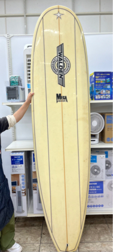 WALDEN ロングボード