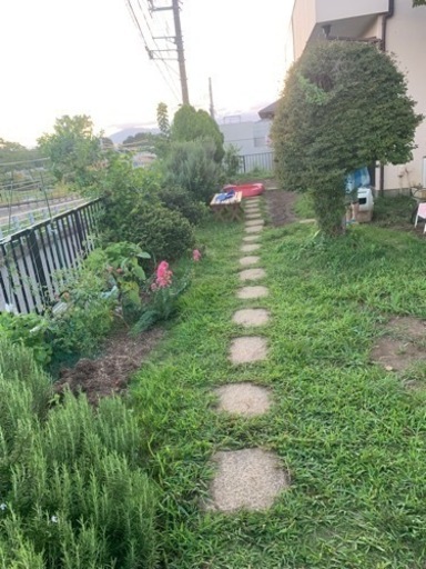 園庭のお手入れ（保育園）