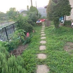 園庭のお手入れ（保育園）