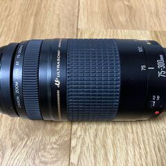 キャノン標準・望遠ズームレンズセットの画像