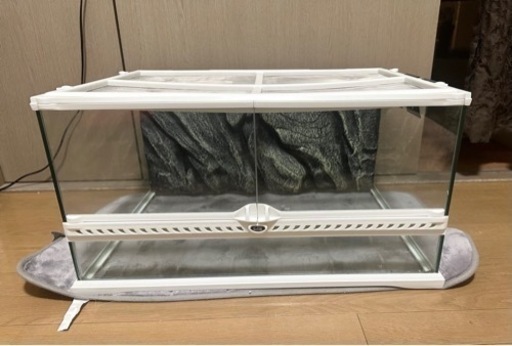 GEXエキゾテラ　グラステラリウム6045