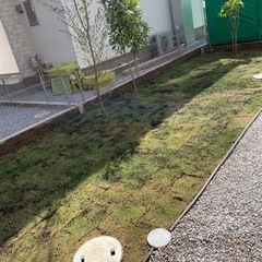新築植栽地工事の画像