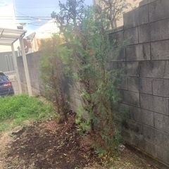 お庭お手入れの画像