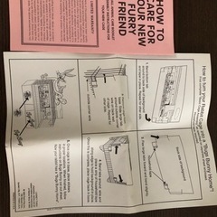 バックスバニー、ラビットケージの画像