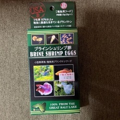 ブラインシュリンプの卵。