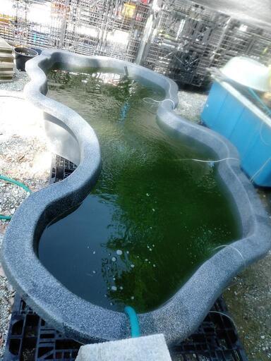 タカラみかげ調プラ池（中古） 中古 タカラ工業 みかげ調プラ池 大型 水槽