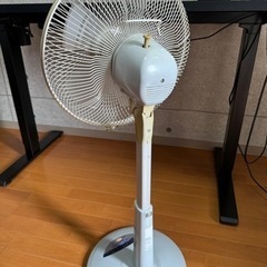 売約済5/11の画像