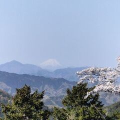 6月15日土　山コン30代、40代　高尾山