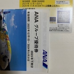 ANA株主優待券　