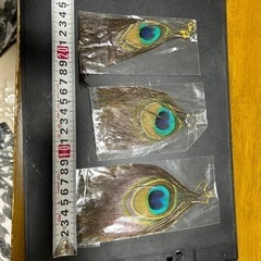 孔雀のピアス