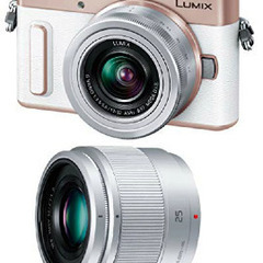 値下げしました。PanasonicのLUMIX Gのミラーレスカ...