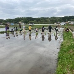 はやと農園田植え体験