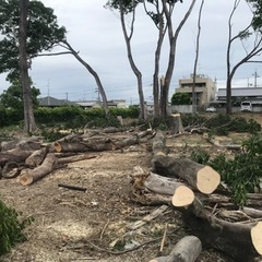 薪材