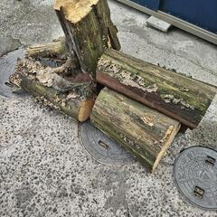 切り株差し上げます。