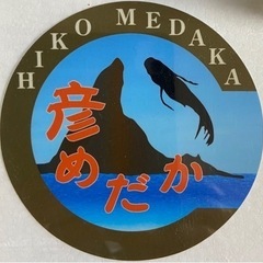 彦めだか茅ヶ崎　5月7日　改良めだか各種