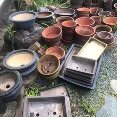 植木鉢 家庭用品 ガーデニングの画像