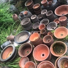 植木鉢 家庭用品 ガーデニングの画像
