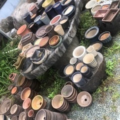 植木鉢 家庭用品 ガーデニングの画像