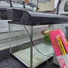 商談済みです　水槽の画像