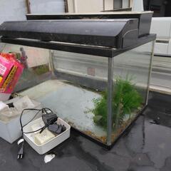 商談済みです　水槽の画像