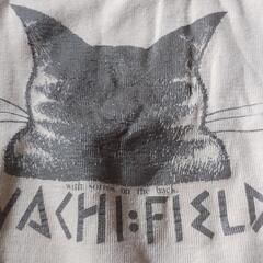 WACHI　FIELD　ダヤン・トレーナー　中古品