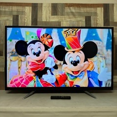 即日受渡❣️ 4K液晶55型TV鮮やかなHDR映像HDMI3端子29500円