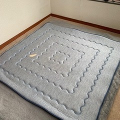 ニトリ　冷感ラグ　　