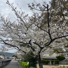 つながり