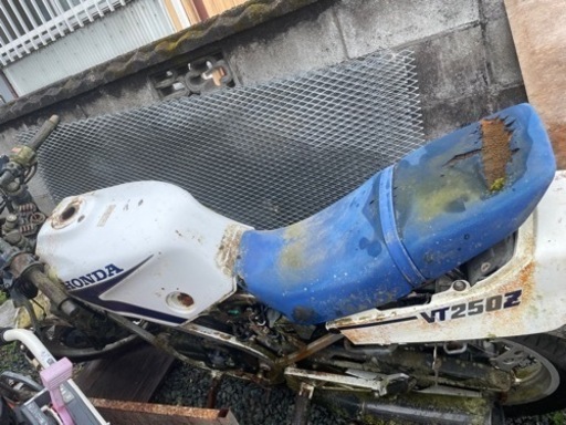 スポーツ マリンスポーツ