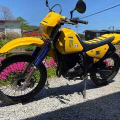 マニア必見！スズキDR250R SJ45A 希少車 Pro Skill partsのマフラー別途付属の画像