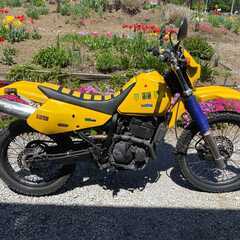 マニア必見！スズキDR250R SJ45A 希少車 Pro Skill partsのマフラー別途付属の画像