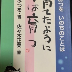 相田みつを　育てたように子は育つ