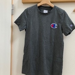チャンピオンレディースMサイズティシャツの画像