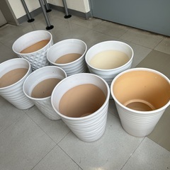 大きめ植木鉢 取りに来て頂ける方に無料で差し上げます。