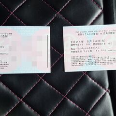 再値下】2024/5/14（火）ヤクルト×広島ライト側　連番２枚