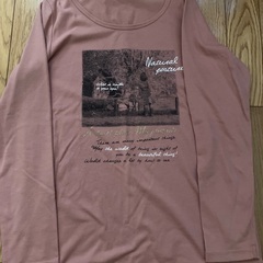 トレーナー長袖Tシャツ半袖Tシャツ中古の画像