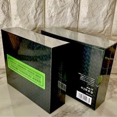 【購入価格14300円】完売モデル TRUE WIRELESS ...