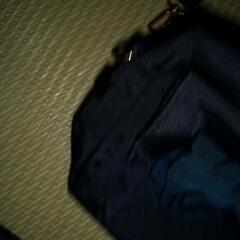 インゲボルグ  ショルダーポーチの画像