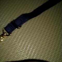 インゲボルグ  ショルダーポーチの画像