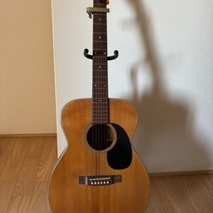 モーリス、アコースティックギター