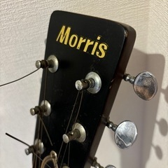 モーリス、アコースティックギターの画像